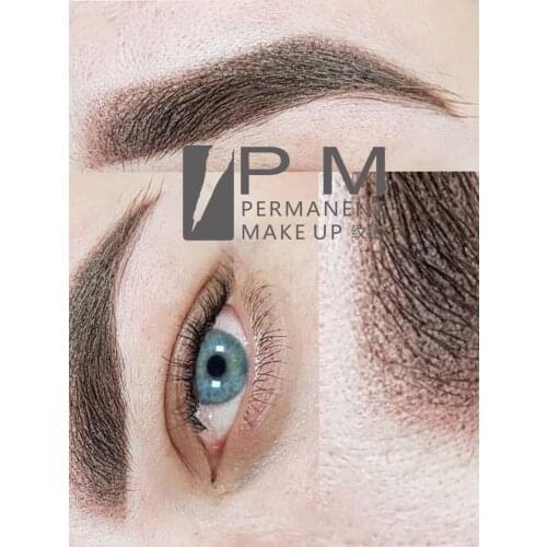 PM Semi Permanent Makeup Tattoo Microblading Eeybrow Pigment