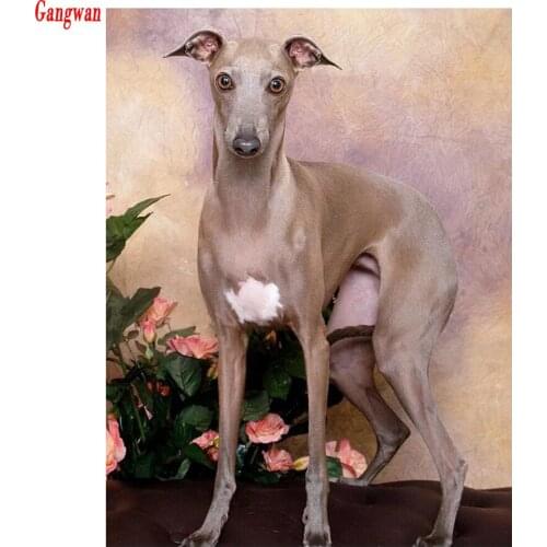 Dog picture Diamond Painting Cross Stitch Handicraft Diamond Embroidery Whippet,5D DIY Diamond Mosaic,puppy pet,decoration Gift