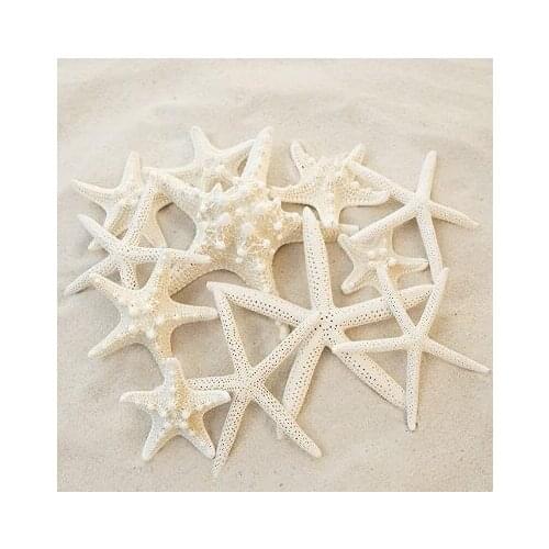 Starfish 1" to 6" Set of 12 - Wedding Centerpiece, Beach Home Decor, Crafts, Decorative Hanging Ornaments by Tumbler Home