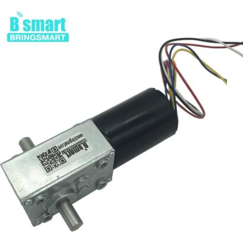 Double Shaft Mini Gearbox 5840-3650 DC Motor Reductor 12/24V Worm Gear Motor Brushless Motor Self-lock Brake Engine