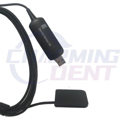 New Arrival Dental Xray Sensor RVG for Clinic / Medical Equipment USD Digital Dental X-Ray Sensor Intraoral Imaging System