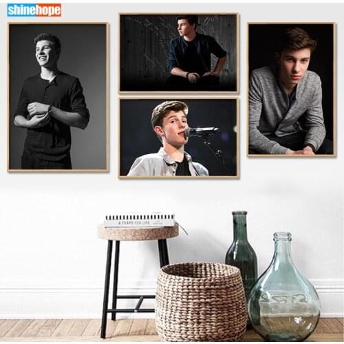 Shawn Mendes Poster Custom Canvas Poster Art Home Decoration Cloth Fabric Wall Poster Print Silk Fabric 30X45cm,40X60cm