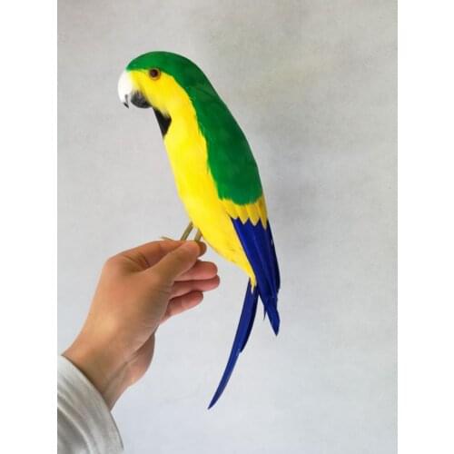 Real life Bird yellow-green feathers parrot model about 43cm home decoration filming prop decoration toy gift h1079
