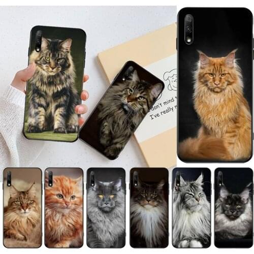 Pet maine coon cat Cover Black Soft Shell Phone Case for Huawei Honor 30 20 10 9 8 8x 8c v30 Lite view pro