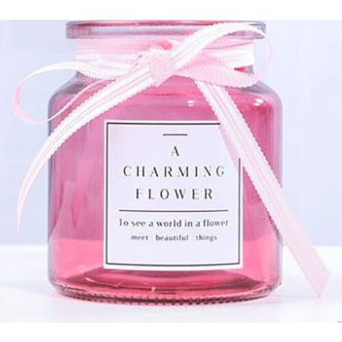 Transparent Glass Vase Furnishes Living Room Creative Floral Arrangement Nordic Small Fresh Hydroponic Plant Table Top Container