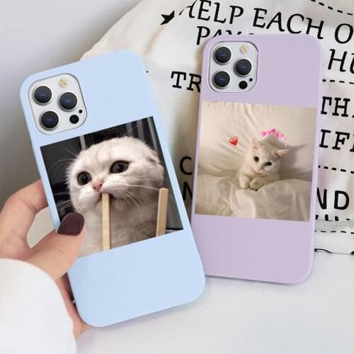 Cute Cat Animal For iPhone 11 Pro Max 12 Pro Mini XS Max XR X 7 8 6 6S Plus SE 2020 Candy Color Fundas Fashion Soft Bumber Cover