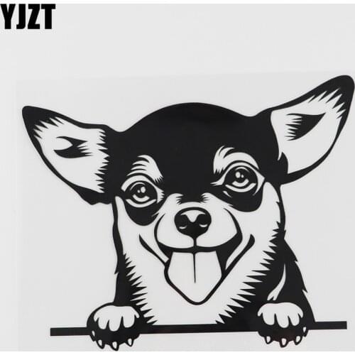 YJZT 17.2CMX13.9CM Car Sticker Chihuahua Peeking Dog Vinyl Decal Black/Silver 8A-0057