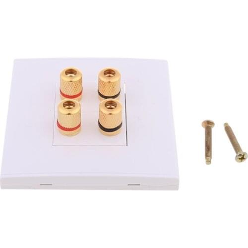 Panel Terminals 2 Speaker 4 Binding Post Banana Jack Connector Wall Socket Plate Surround Sound 85DD