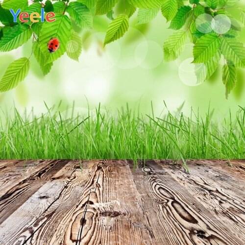 Spring Branch Green Leaves Wood Board Floor Nature Scenery Backdrop Baby Portrait Vinyl Photography Background For Photo Studio