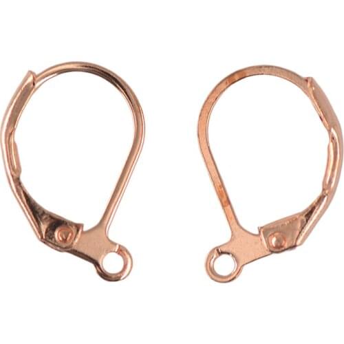 100 Pieces Lot Leverback Earwire Earring Wire Hook Brass French Style DIY Craft