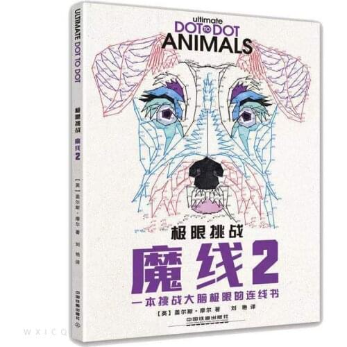 New Book Spot Ultimate Challenge Magic Line of the Magic Palace Labyrinth Book that Challenges the Limits of the Brain Connected