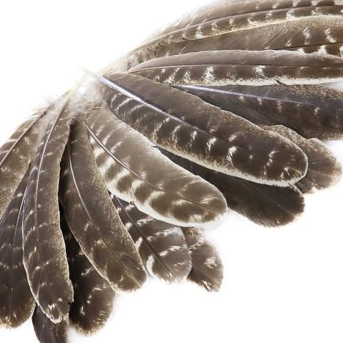 WCFeatherS 10pcs Natural Turkey Eagle Feather High quality Pheasant feather for crafts 8-10 inch Length Carnival Hats Decoration