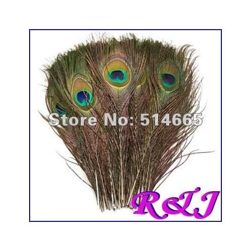 Wholesale 100 pcs/lot 25-30cm 10-12inch natural PEACOCK FEATHER big eye peacock tail feather Free Shipping
