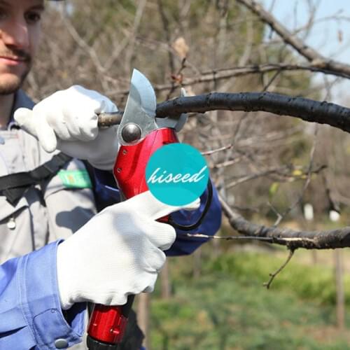 Lithium Battery Powered Electric Pruning Shear for Vineyard and Orchard