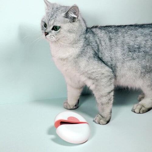 Pet Comb Pet Grooming Brush Hair Dematting Comb Cat And Dog Long Hair And Short Hair Removal Comb In Round Shape