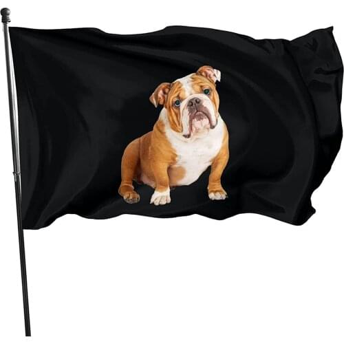 English Bulldog Flags 3x5 Outdoor Funny Decorative Summer Garden Flags Home Decor for Outside
