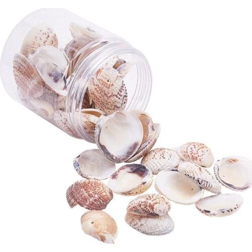 1 Box About 50pcs Assorted Dyed Natural Sea Shells Seashell with Hole