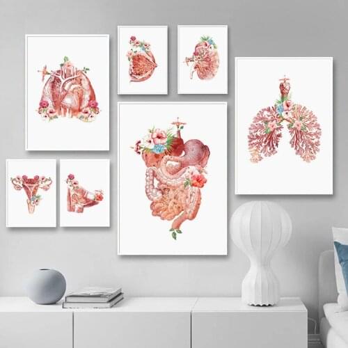 Anatomy Wall Art Poster Print Flower Breast Uterus Kidney Liver Canvas Painting Nordic Clinic Wall Pictures For Doctors Office