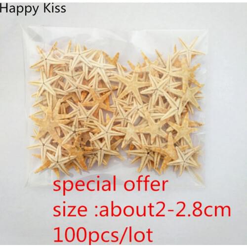 Happy Kiss 100pcs/lot Natural Starfish Wishing Bottle Sea Star Home Decoration Wall Stickers Adornment Organic Material crafts