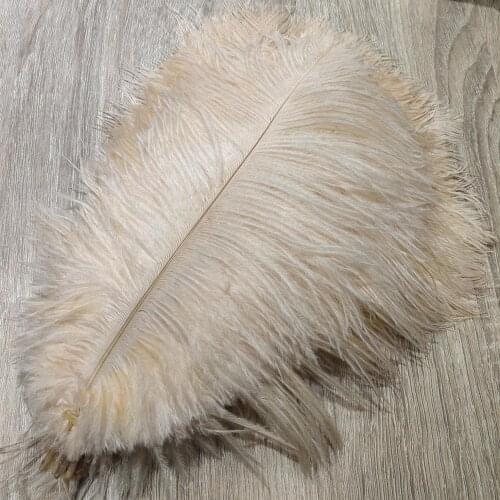 Wholesale 10pcs Champagne Natural Ostrich Feathers 25-30cm/10-12 inch Wedding Party Christmas Home Craft Accessories Decoration