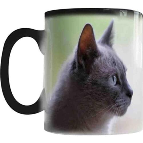 Cat Lover Gift Mug 11oz Ceramic Magic Color Changed Coffee Cup Heat Sensitive Magic Tea Cup Surprised Gift