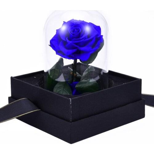 Preserved Rose Anniversary Glass Dome Preserved Rose Real Red Blue Rose Attractive Packaging Gift Valentines Day Flower Gifts