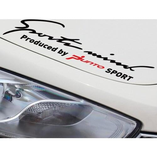 2 Pieces Customization PUNTO Sport Car Covers Car Stickers Decal Car Styling For FIAT PUNTO grande punto car accessories