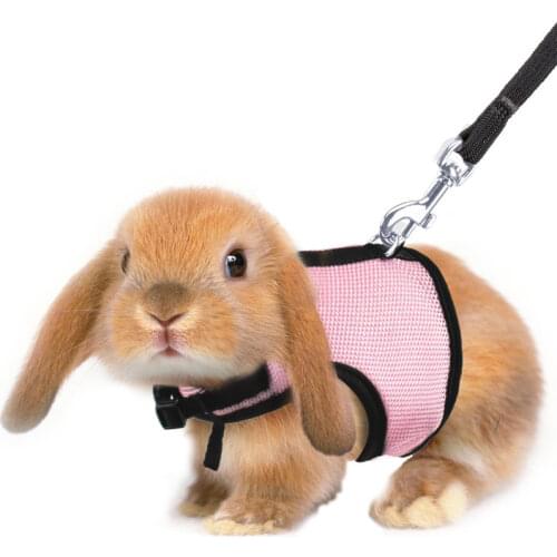 5 Colors Hamster Rabbit Harness And Leash Set Ferret Guinea Pig Rat Small Animal Pet Walk Harnesses Leades S/M/L/XL