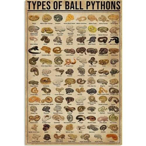 Types of Ball Pythons Poster Indoor Home Decoration Gift Wall Art Decoration Metal Plaque Poster Metal Sign 8X12 inches