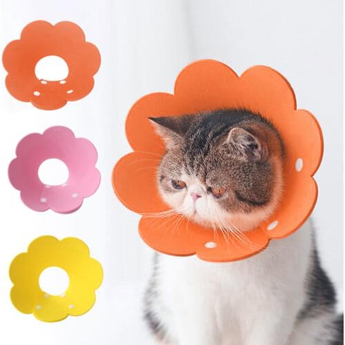Pet Elizabeth Circle Pet Cat Anti-bite Collar Protection Cover Pet Cat Collar Cats Dogs Recovery Collars Puppy Accessories