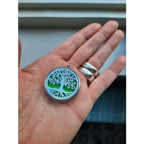 Diffuser Locket 30mm Perfume Pendant Stainless Steel Free 10pads Random Without Necklace Chain Fit Women Kids Gift Pet Collar