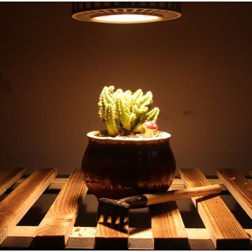 30W PAR20 PAR30 PAR38 Grow Light Full Spectrum COB LED Indoor Planting Lamp IP65 Greenhouse Hydroponic Growth Light 85-285V