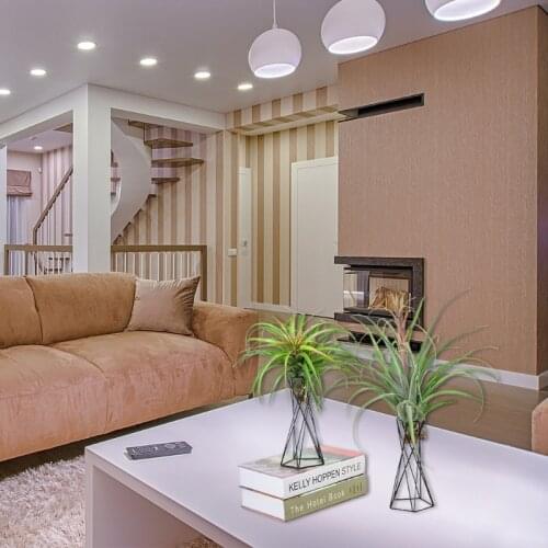 Nordic Style Air Plant Holder Metal Flower Pot Stand Geometric Iron Tillandsia Holder Table Home Garden Ornaments