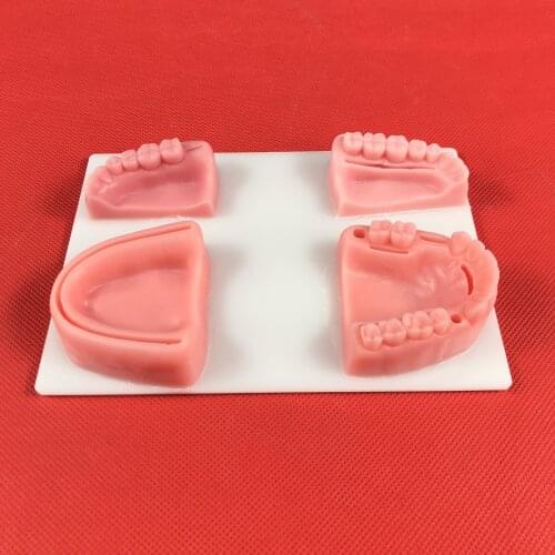 Dental Oral/Gum suture training module silicone periodontitis suture model