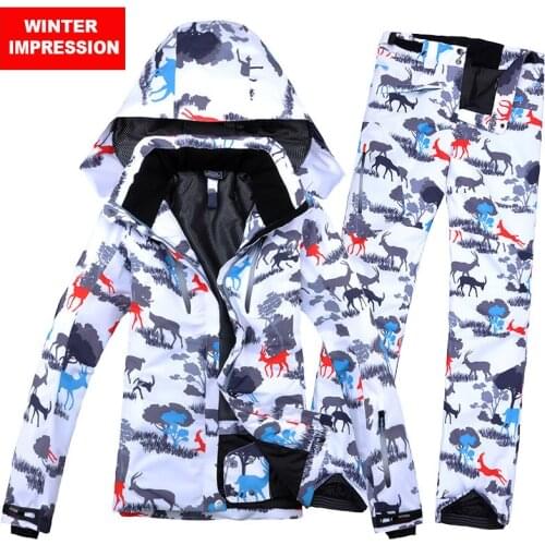 Winter Impression NEW Ski Suit Ski Jacket + Ski Pant Female Snowboard Set Waterproof Windproof Breathbale Winter Warm Clothing
