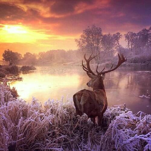 14/16/18/27/28 Top Quality Beautiful Counted Cross Stitch Kit Abstraction Beauty and Grape A10688