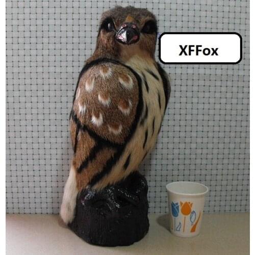 Big new real life eagle model plastic&furs simulation eagle home decoration gift about 13x16x38cm xf2382