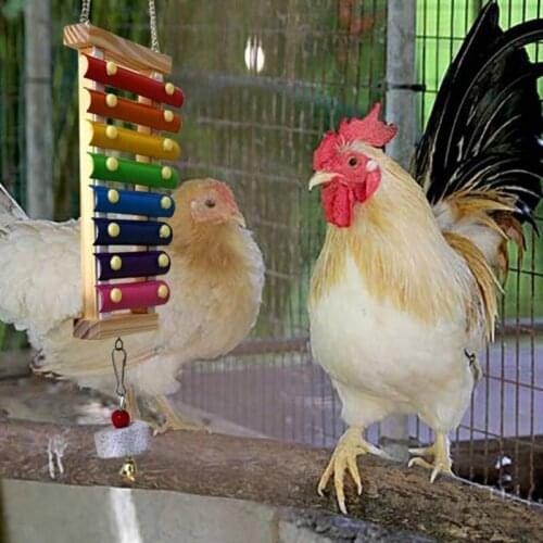 Chicken and Birds Toy Chicken Veggies Skewer Fruit Holder Chicken Vegetable Hanging Feeder Chicken Chew Toys