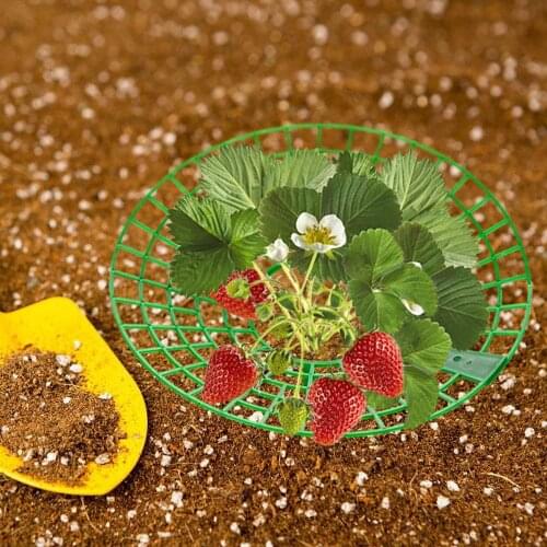 Strawberry Stand Frame Holder Balcony Planting Rack Fruit Support Plant Flower Climbing Vine Pillar Gardening Stand