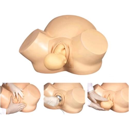 Midwifery training advanced empty simulator delivery Accouchement simulator model Teaching mold midwife training