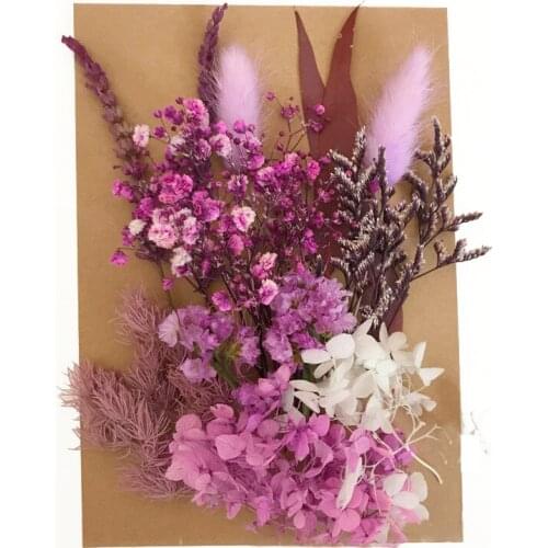 Real Dried Flower Dry Plant For Aromatherapy Candle Making Kit Epoxy Resin Pendant Necklace Jewelry Make Craft DIY Accessories