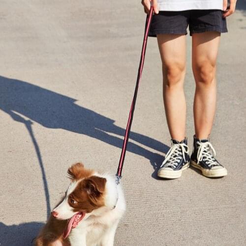 Dog Collar and Bungee Dog Leash, Adjustable Nylon Dog Collar with Metal D-Ring & Buckle, for Small Medium and Large Dogs