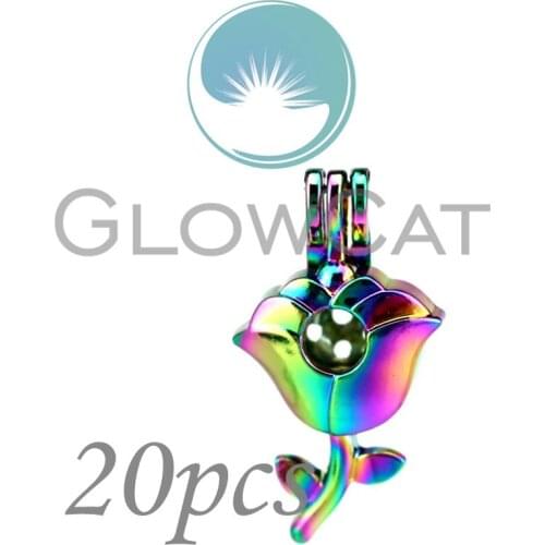 20x CC847 Rainbow Color Rose Flower Beads Cage Jewelry Making Essential Oil Diffuser Pearl Cage Locket Pendant