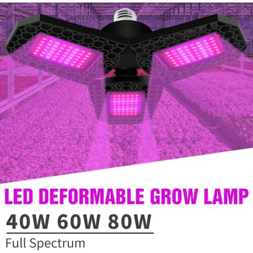 LED Plant Lamps PEIQI China