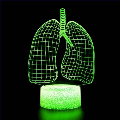 3D Night Light Halloween April Fools Day Gift Decoration Heart Liver Spleen Stomach Lung Model Visceral Remote Sensing