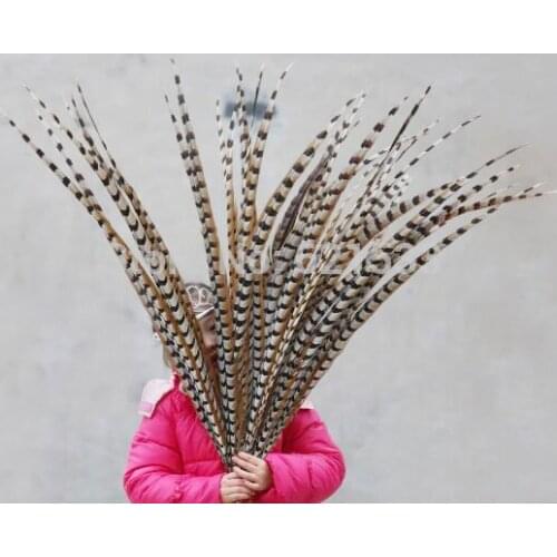 50pcs/lot,110-120CM long Extra Long Feathers,Natural Reeves Venery Pheasant Tail Feathers,Reeves Pheasant Tail feathers
