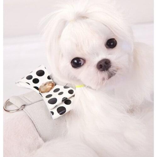 New Sweet Bowknot Dog Cat Harness Chest Leash Puppy Small Dogs Harnesses Vest Chihuahua Yorkshire Walking Training Pet Supplies