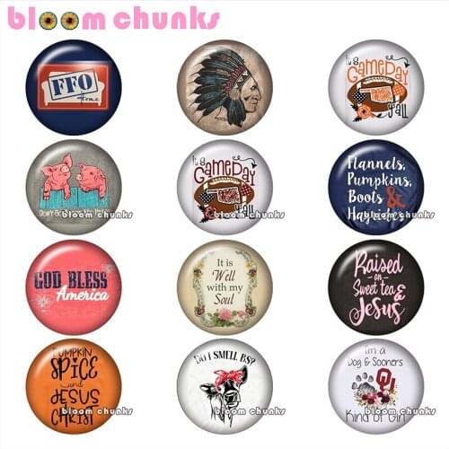 Came day sport chief pig Round photo glass cabochon demo flat back Making findings 12mm/18mm/20mm/25mm B4481