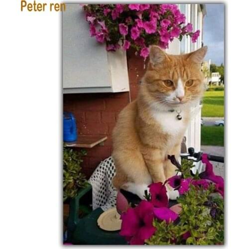 5D Diamond painting cross stitch diamond embroidery animal Square/Round diamond Mosaic Rhinestone Decoration Kitten house flower