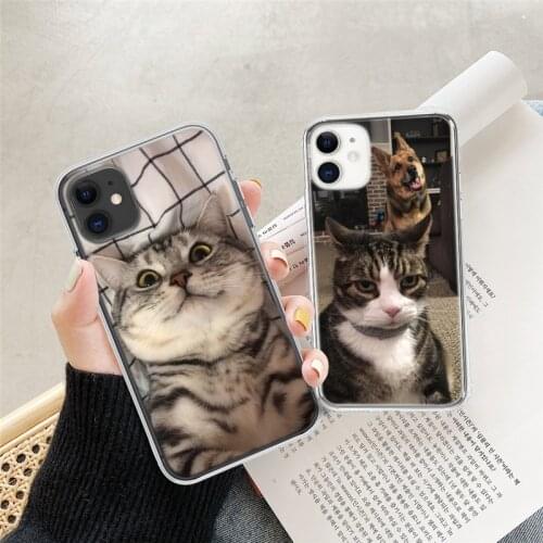 Funny Shiba Inu Cat Phone Case For iPhone 11 12 Pro XS Max X 12 Mini 5S SE 2020 6 6s 7 8 Plus Shockproof Soft TPU Back Covers